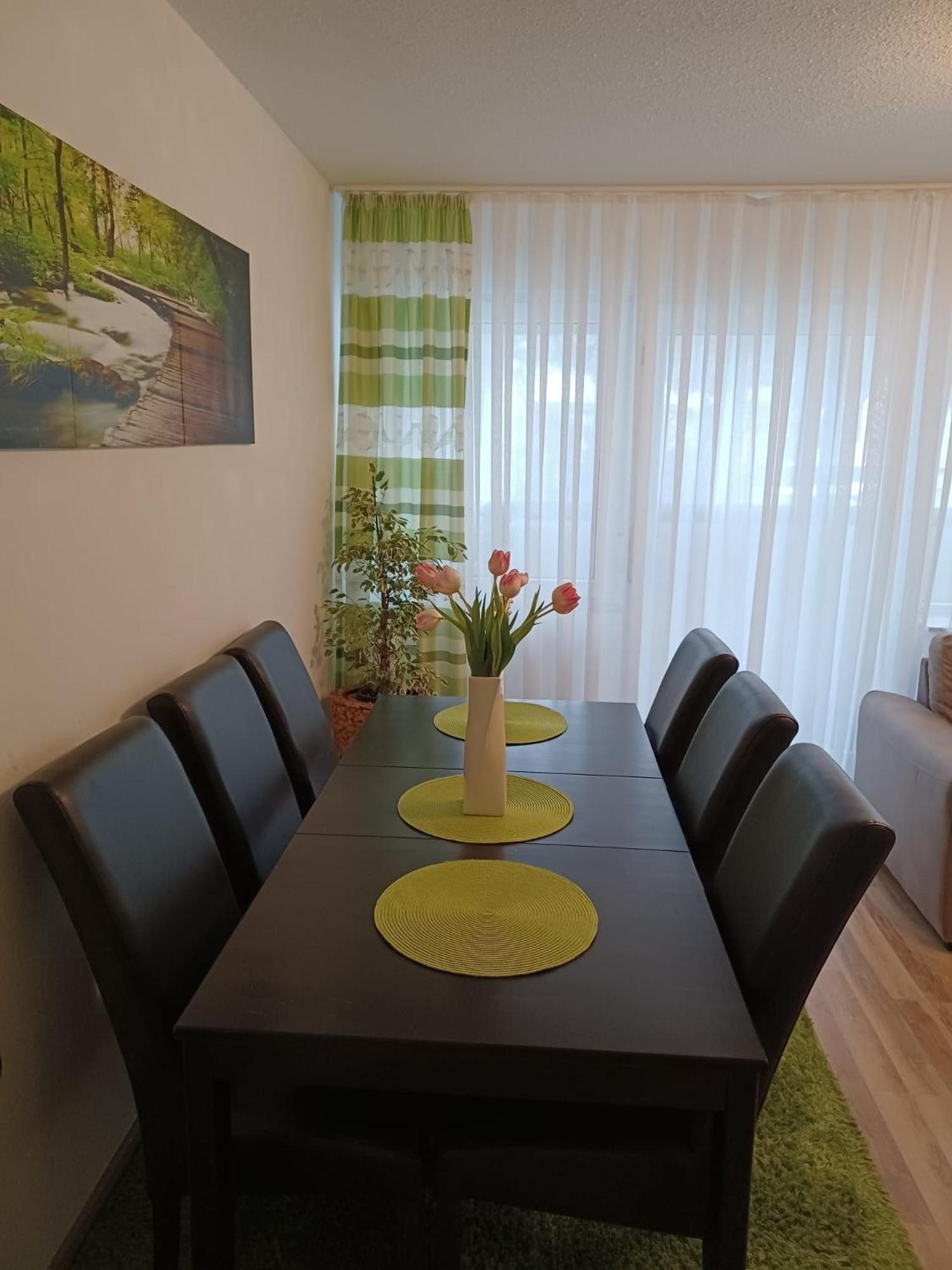 H&A Apartment Baden Baden Dış mekan fotoğraf